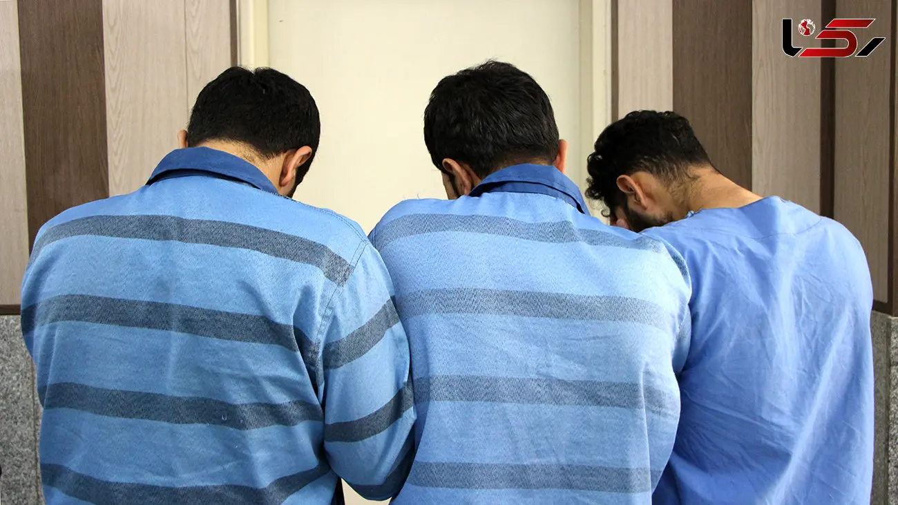 این دزدان گاوصندوق ها را هم از داخل خانه سرقت می کردند / ماهرانه دزدی می کردند + فیلم گفتگو 