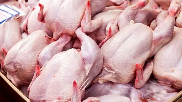 
مرغ باز هم گران شد