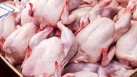 بازگشت  ۴۵ واحد مرغداری گوشتی و تخم‌گذار  به چرخه تولید در مراغه وعجبشیر