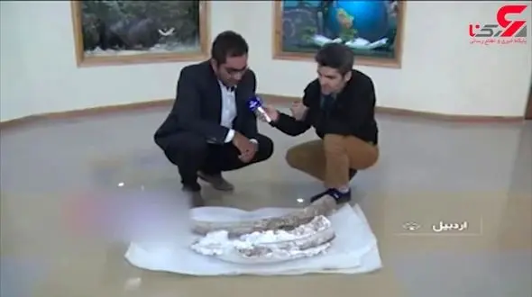 کشف فسیل‌های بیست میلیون ساله در اردبیل + فیلم 