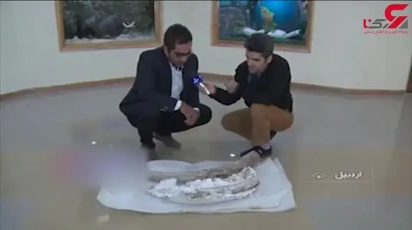 کشف فسیل‌های بیست میلیون ساله در اردبیل + فیلم 