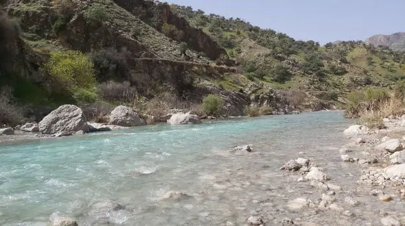 سرنوشت وحشتناک پدر چوپان و پسرش در شیراز 