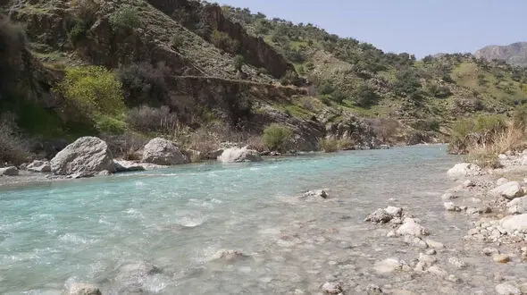 سرنوشت وحشتناک پدر چوپان و پسرش در شیراز 