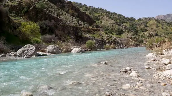 سرنوشت وحشتناک پدر چوپان و پسرش در شیراز 