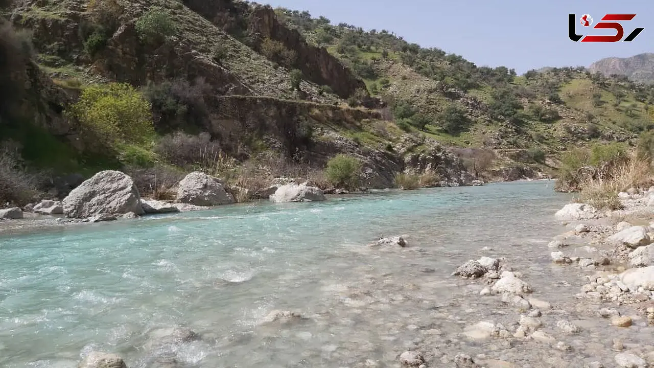 سرنوشت وحشتناک پدر چوپان و پسرش در شیراز 