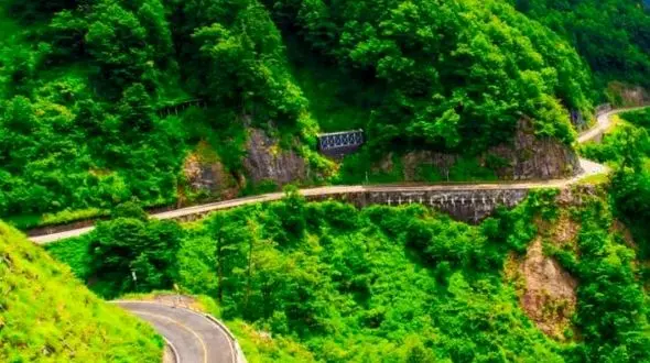 سفر به قلب طبیعت بکر مازندران و جاده چالوس / تجربه‌ای بی‌نظیر در دل سرسبزی