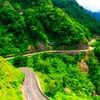 سفر به قلب طبیعت بکر مازندران و جاده چالوس / تجربه‌ای بی‌نظیر در دل سرسبزی