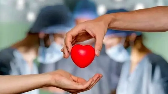 از اندوه در میناب تا روشن شدن امید در شیراز با اهدای عضو