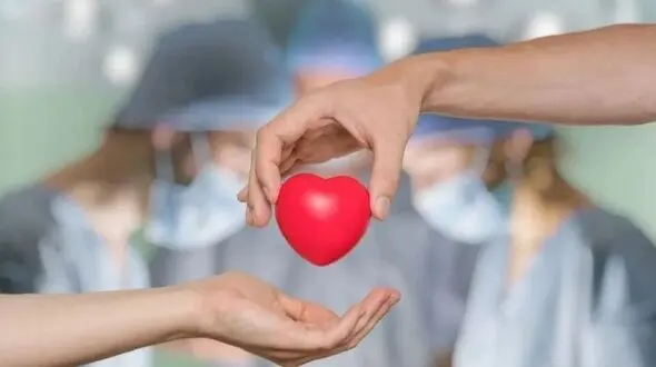 از اندوه در میناب تا روشن شدن امید در شیراز با اهدای عضو