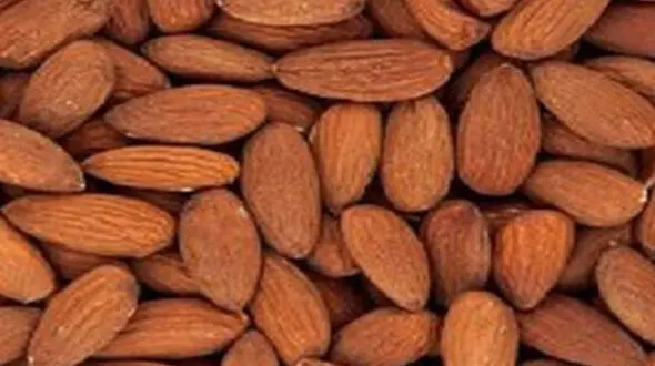  بیش از 3.5 تن آجیل غیرمجاز در همدان کشف شد