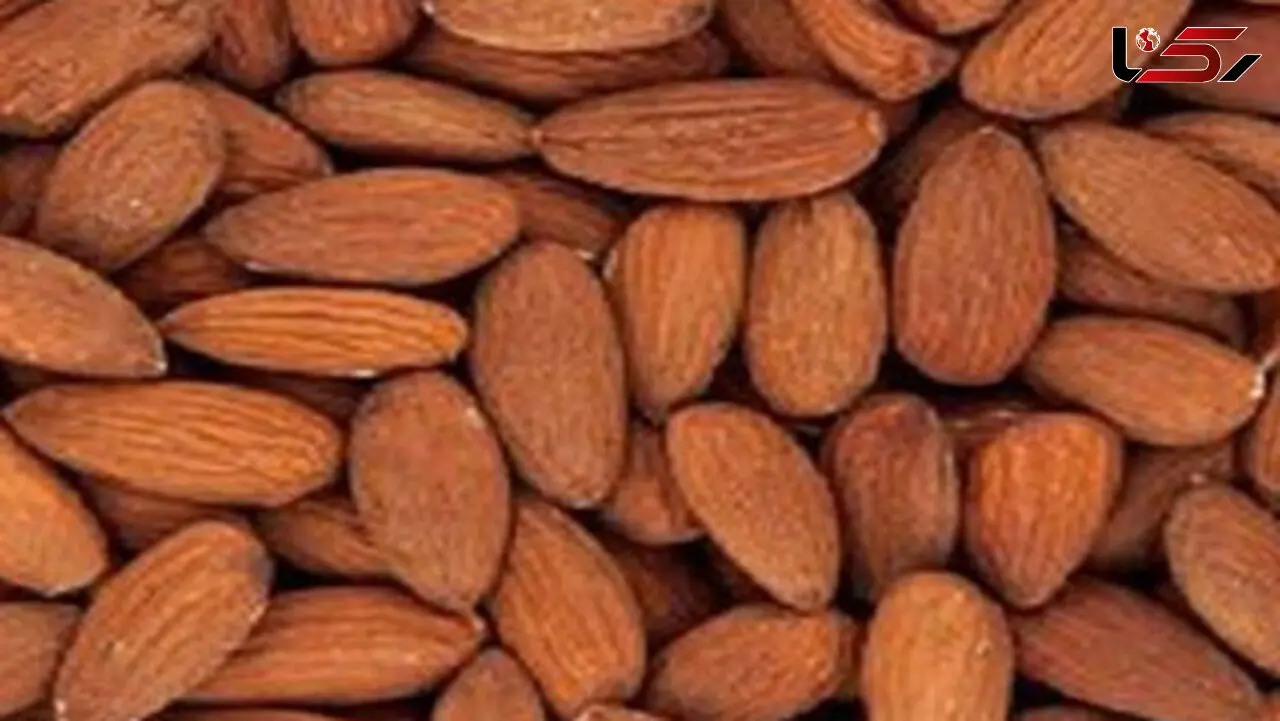  بیش از 3.5 تن آجیل غیرمجاز در همدان کشف شد