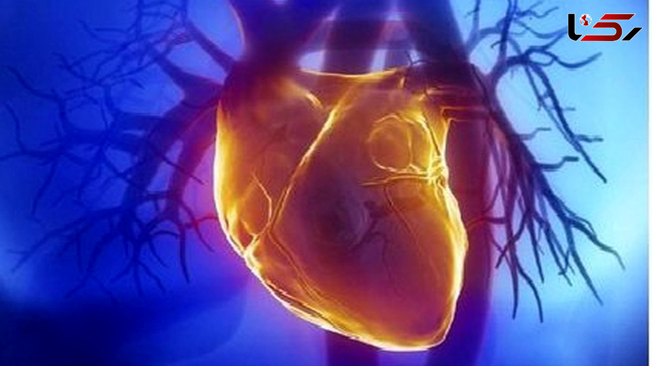 نقش مهم و حیاتی تیروئید بر سلامت قلب