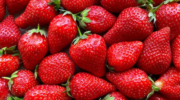 لاغری راحت تر با مصرف فیبر بیشتر