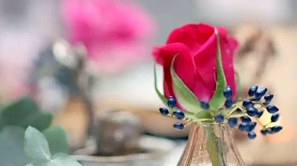 فال ابجد امروز / 16 بهمن + فیلم