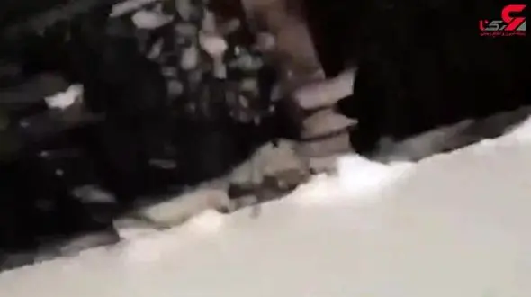 راز چکیدن عسل از سقف بیمارستان چه بود؟+تصویر