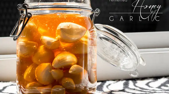 شربت سیر، سرکه و عسل یک آنتی بوتیک قوی