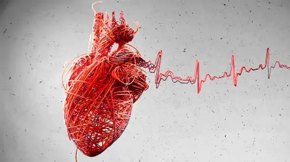 راز ارتباط بین عفونت و سکته قلبی؛ کشفیات شگفت‌ انگیز