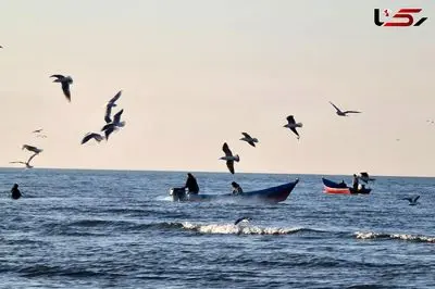 هشدار رئیس هواشناسی کشور: تبخیر افسارگسیخته و کاهش ورودی‌ها، دریای خزر را در آستانه افت تراز بی‌سابقه قرار داد + فیلم