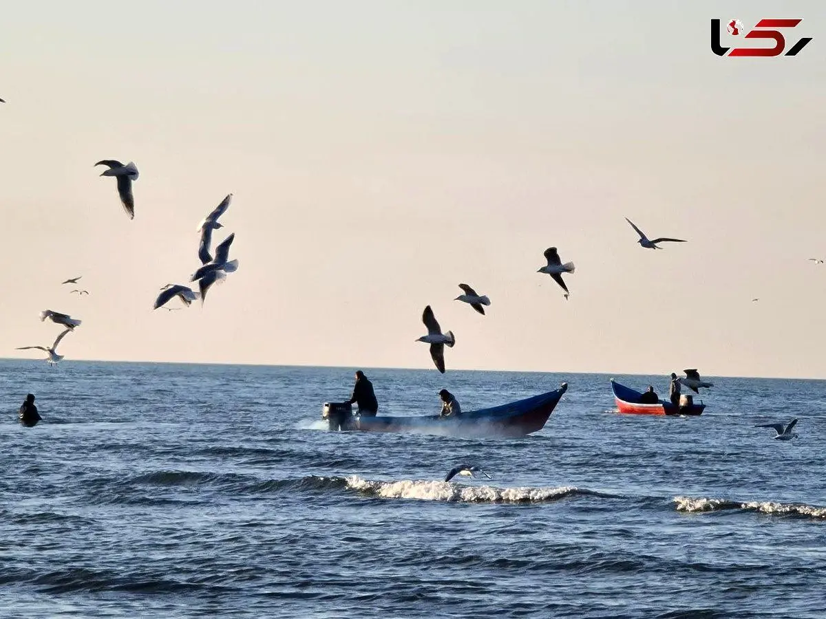 هشدار رئیس هواشناسی کشور: تبخیر افسارگسیخته و کاهش ورودی‌ها، دریای خزر را در آستانه افت تراز بی‌سابقه قرار داد