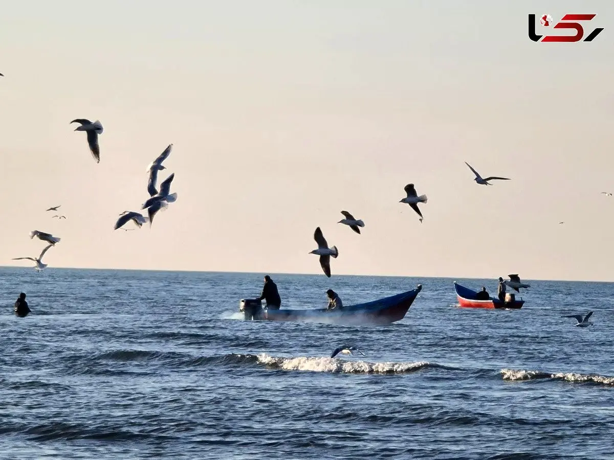 هشدار رئیس هواشناسی کشور: تبخیر افسارگسیخته و کاهش ورودی‌ها، دریای خزر را در آستانه افت تراز بی‌سابقه قرار داد + فیلم