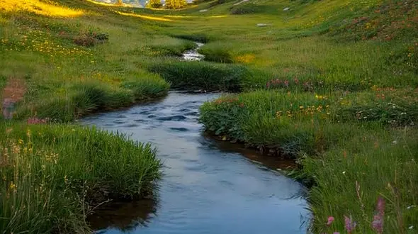 جرأت کن و بدرخش