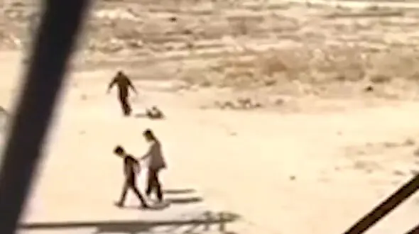بازداشت مرد سگ آزار در جنوب تهران + فیلم

