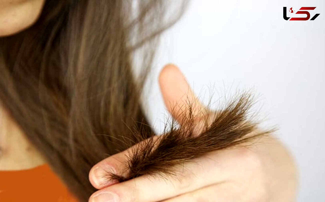 درمان های مفید برای سرزندگی موی سر