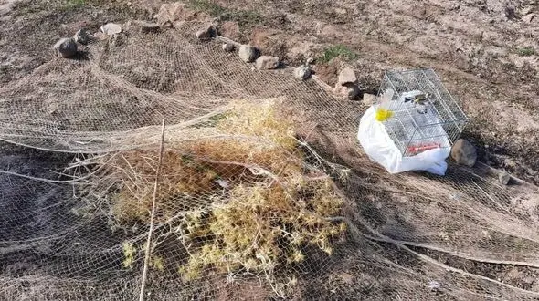 صیادان در تور محیط بانان قمی