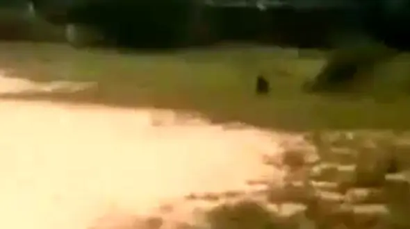 حمله موجودی عجیب به دختران نوجوان در روستا + فیلم