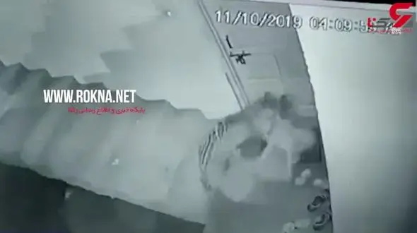 لحظه حمله  پلنگ به سگ خانگی روی راه پله های ساختمان + فیلم 