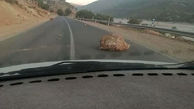 ریزش‌برداری از جاده اندیکا – شهرکرد در پی زلزله امروز