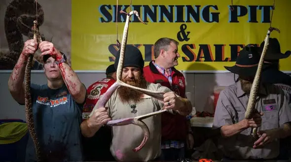 رقابت کندن پوست مار بین آمریکایی ها + عکس