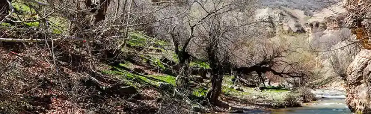 رودخانه‌های زاگرس در چهارمحال و بختیاری؛ بهشت طبیعت‌گردان + فیلم