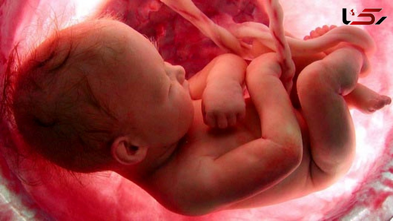 راهکارهایی برای بیدار کردن جنین در رحم/ با جنین صحبت کنید