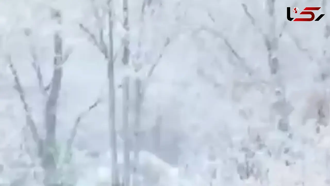 فیلم مناظر زمستانی و برفی شهرکرد