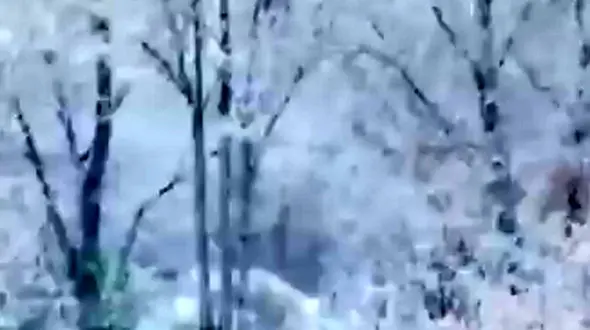 فیلم مناظر زمستانی و برفی شهرکرد