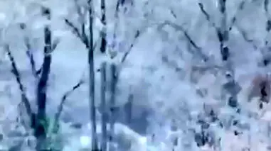 فیلم مناظر زمستانی و برفی شهرکرد