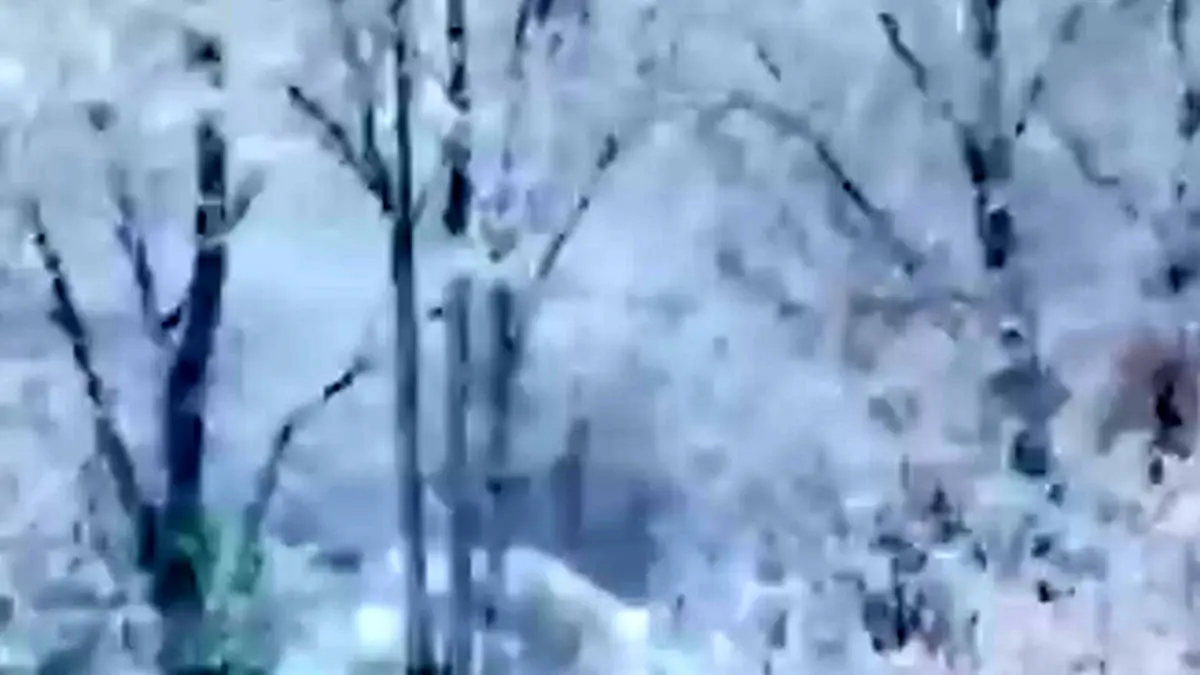 فیلم مناظر زمستانی و برفی شهرکرد