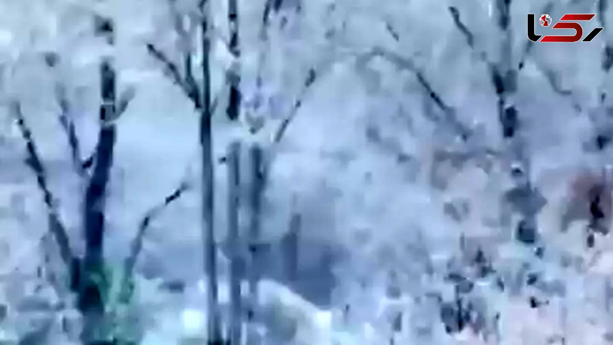 فیلم مناظر زمستانی و برفی شهرکرد