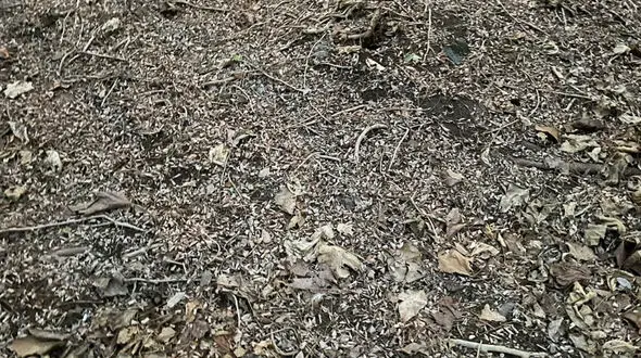 فال ابجد امروز / 18 بهمن + فیلم