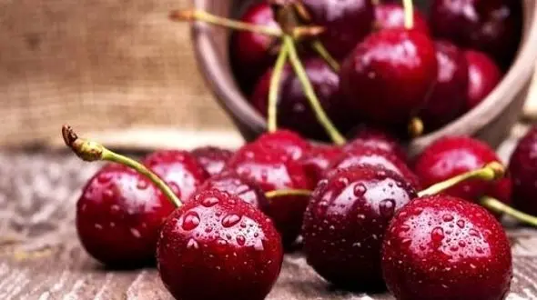 لاغری فوری با این میوه تابستانی+دستور معجون معجزه آسای کاهش وزن