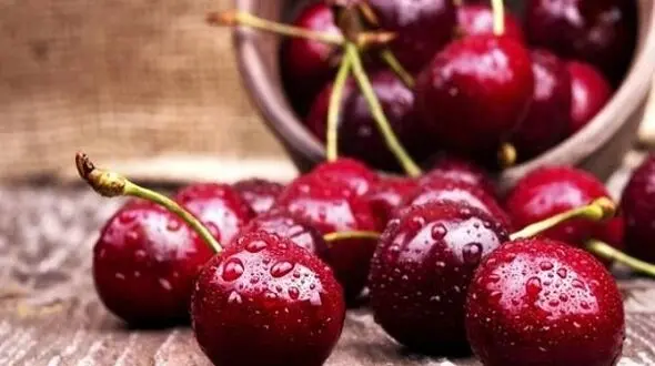 لاغری فوری با این میوه تابستانی+دستور معجون معجزه آسای کاهش وزن