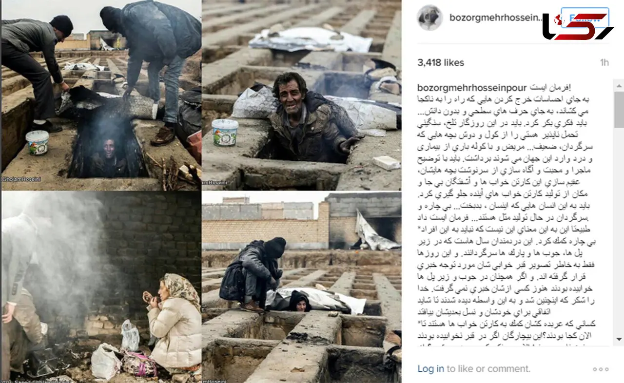 عقیم سازی کارتن خواب ها !