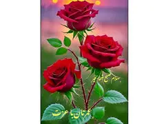 فال و طالع بینی امروز 24 آبان 