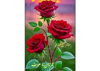 فال و طالع بینی امروز 24 آبان 