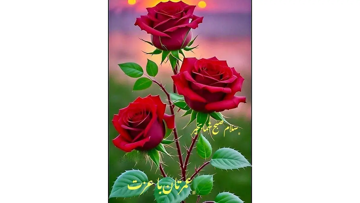 فال و طالع بینی امروز 24 آبان