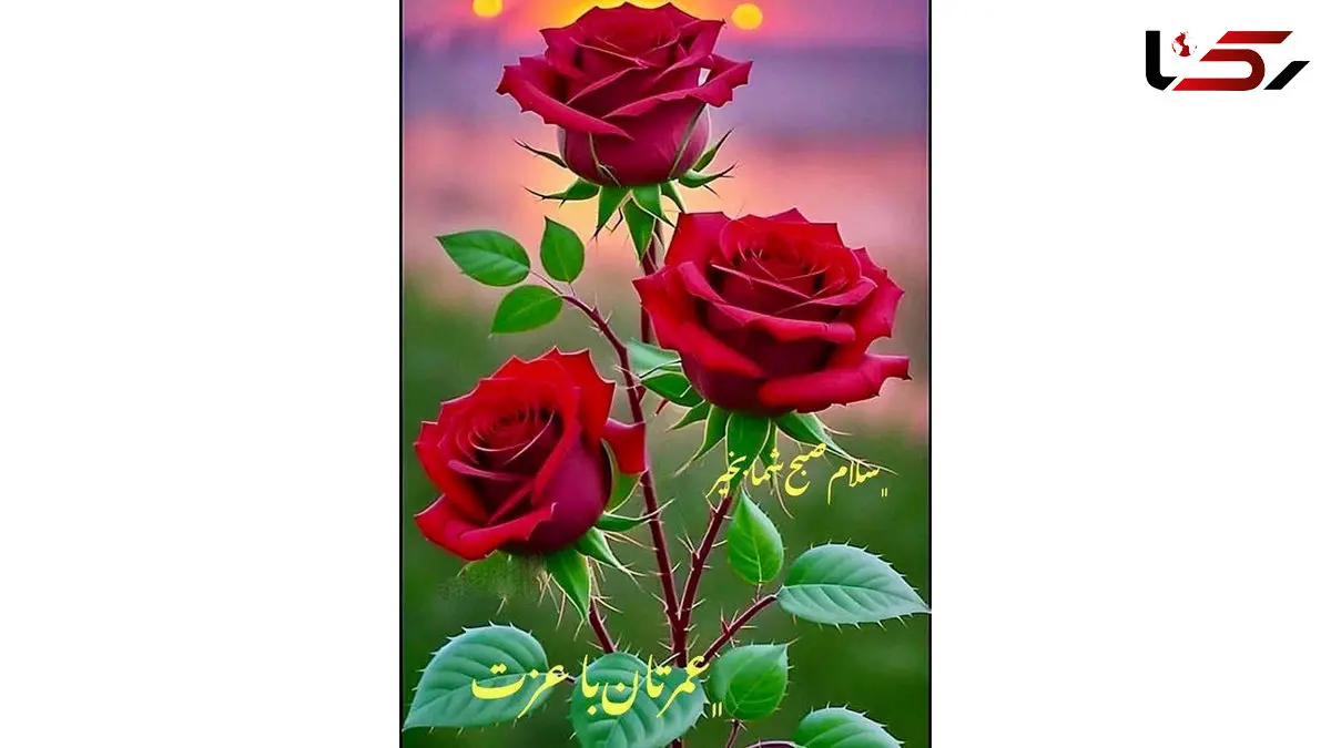 فال و طالع بینی امروز 24 آبان 