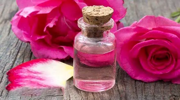 گلاب و خاصیت ضد عفونی کنندگی