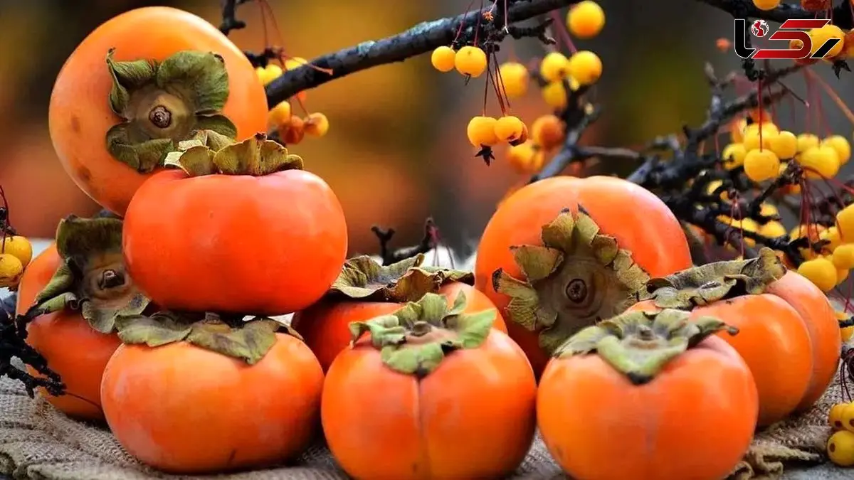 خرمالو و انسداد روده: شایعه یا حقیقت؟ بهترین روش‌ های مصرف خرمالو