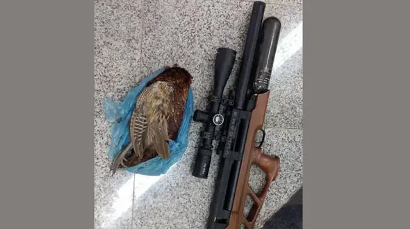 بازداشت شکارچیان مسلح در 3 شهر مازندران 